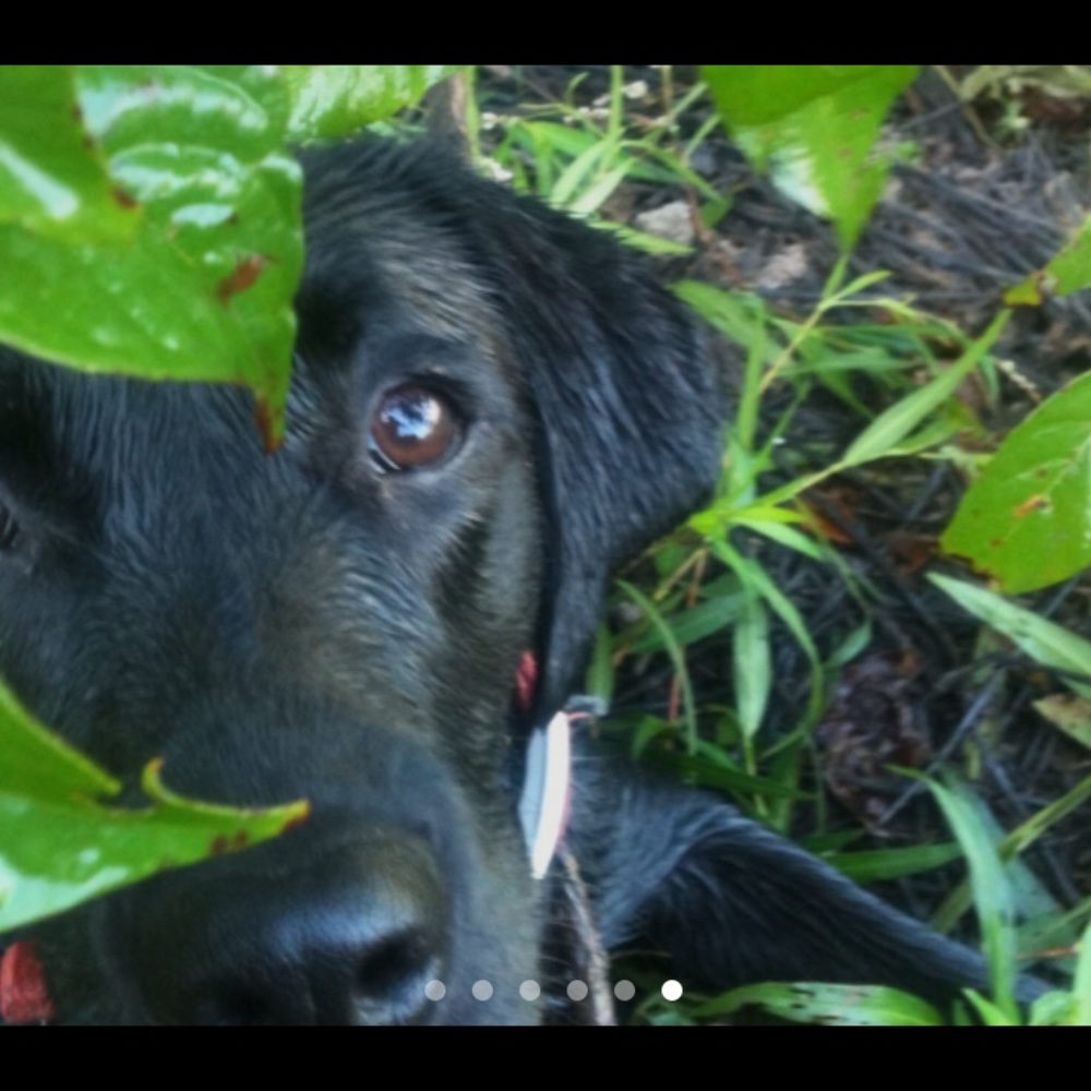 Meet your Posher, Niklas